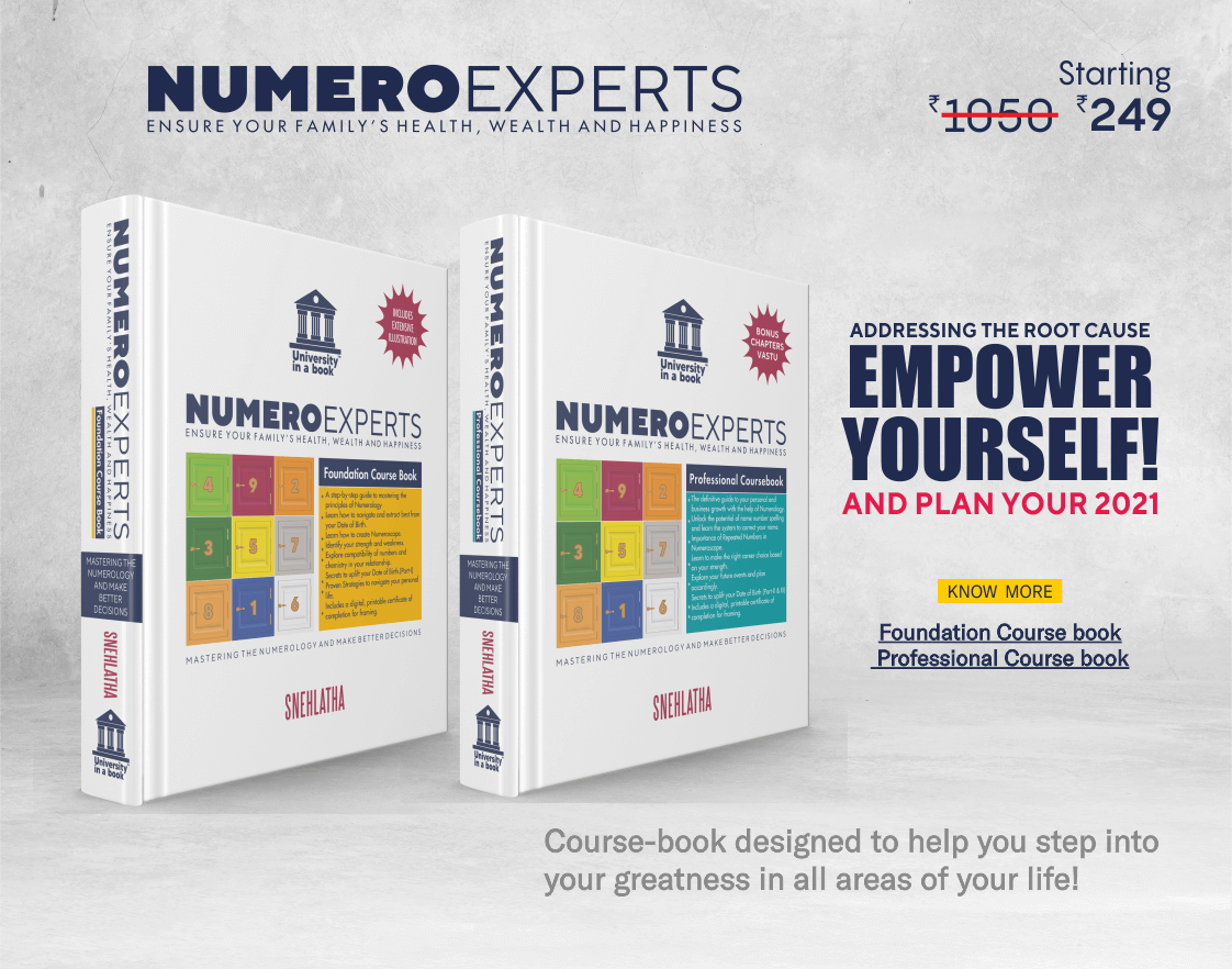 Numeroexperts Professional Course Book