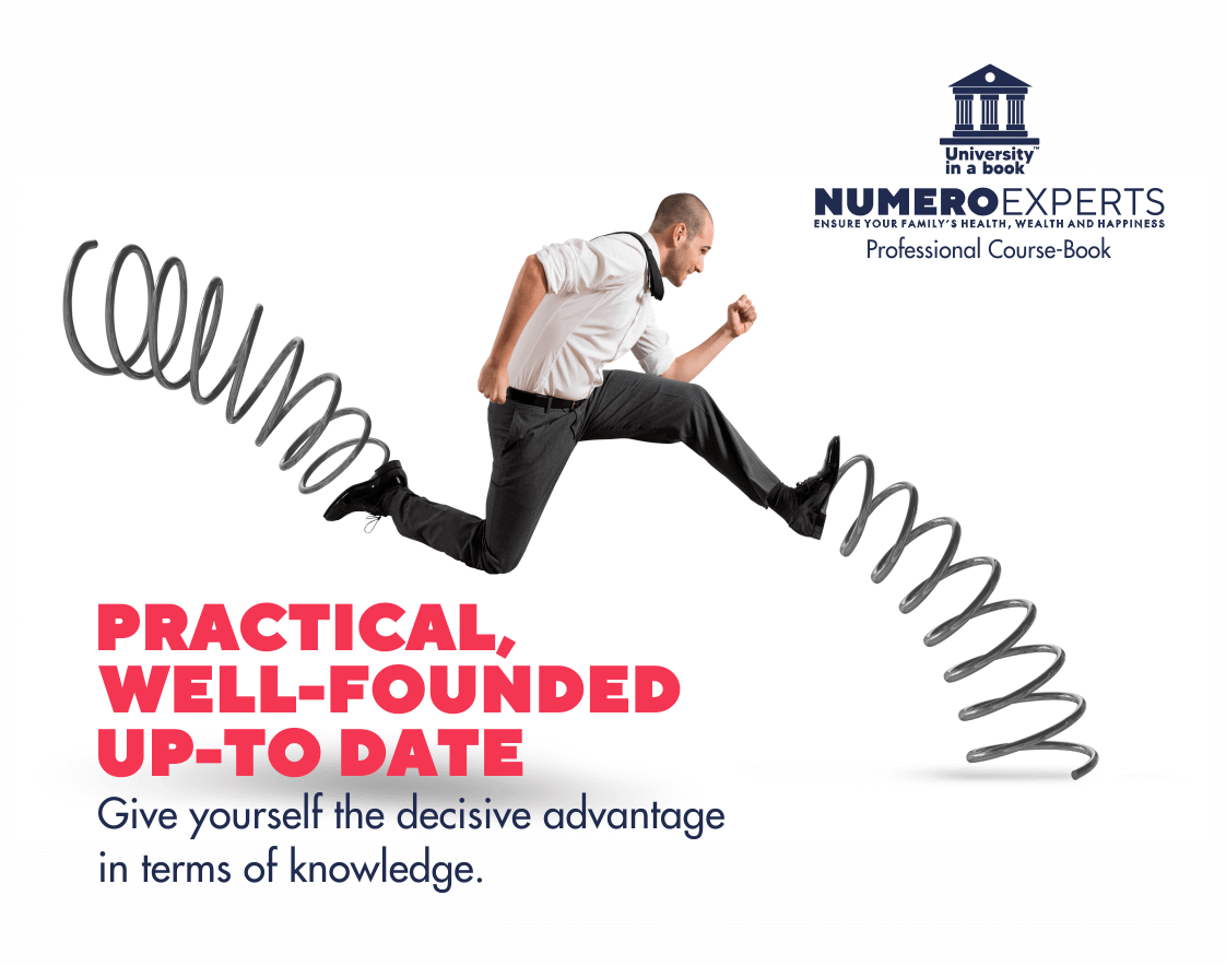 Numeroexperts Professional Course Book