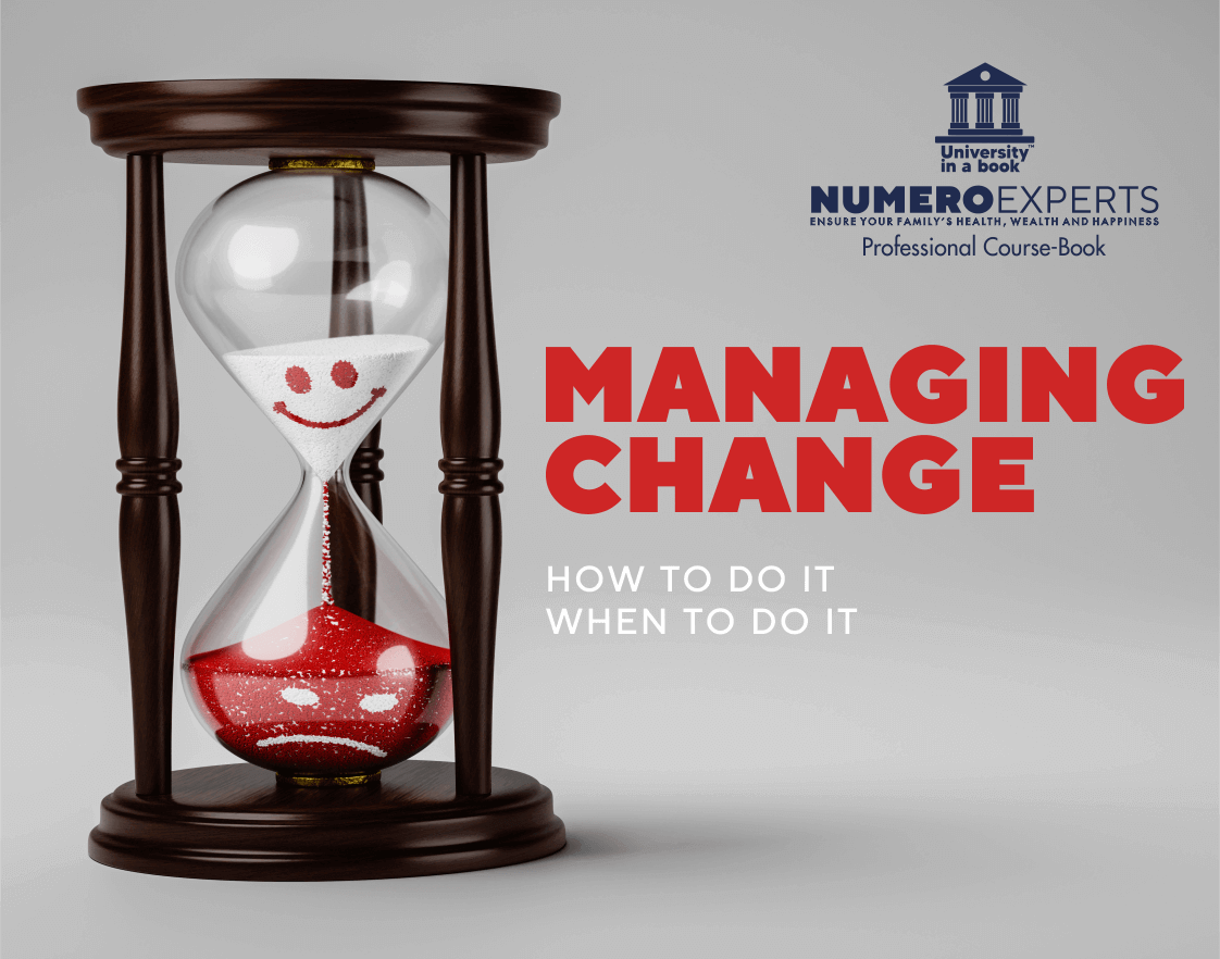 Numeroexperts Professional Course Book