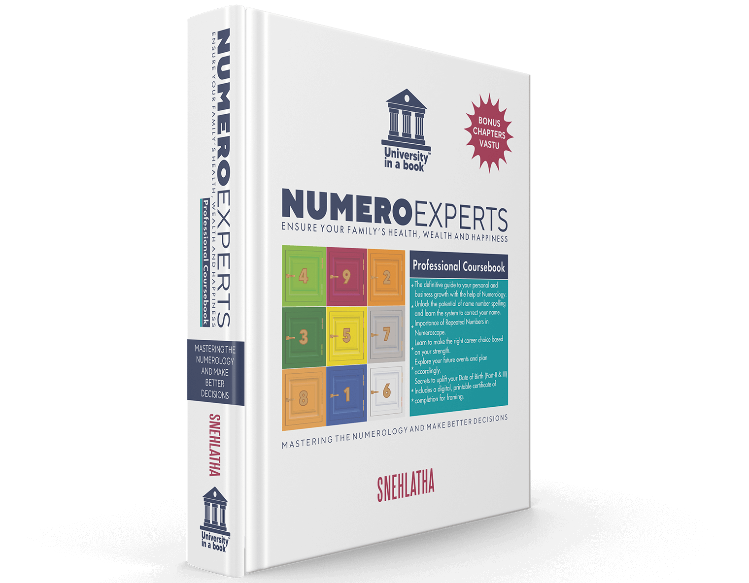 Numeroexperts Professional Course-Book