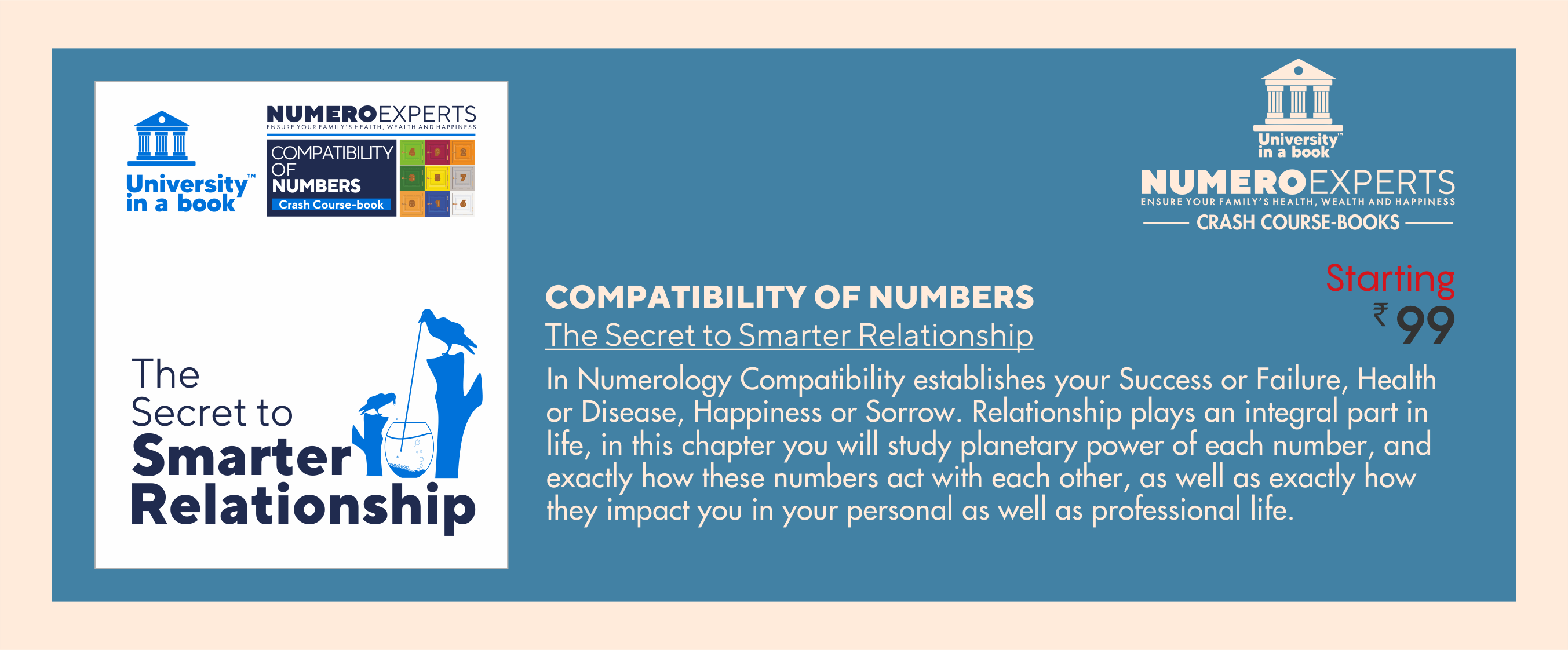 Crash Course Book